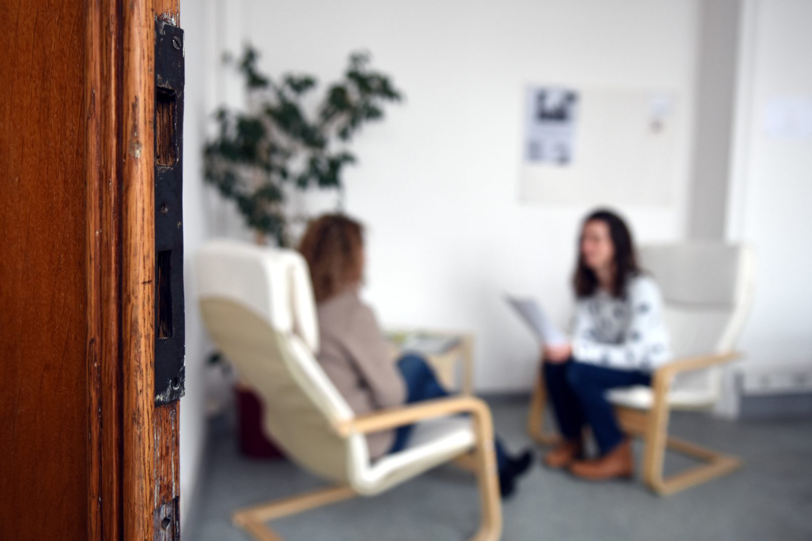 Offre En Santé Mentale