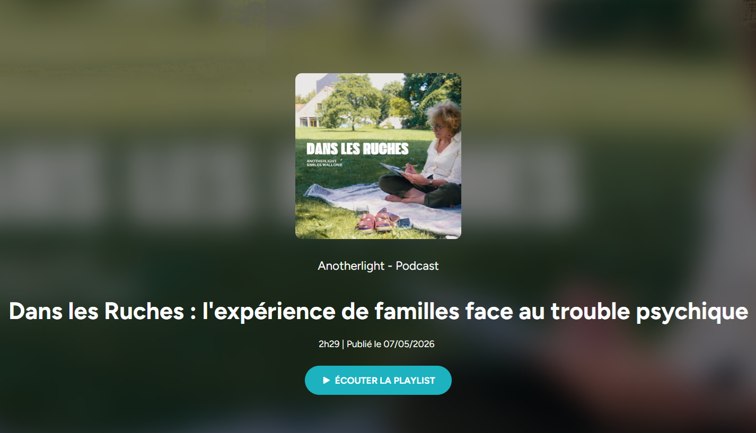 Actu Dans Les Ruches